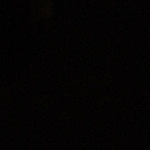 Meet your Posher, Maggie